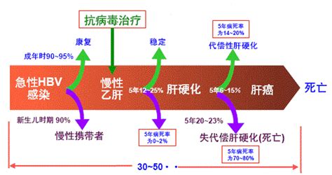 大三陽|肝炎大小三阳